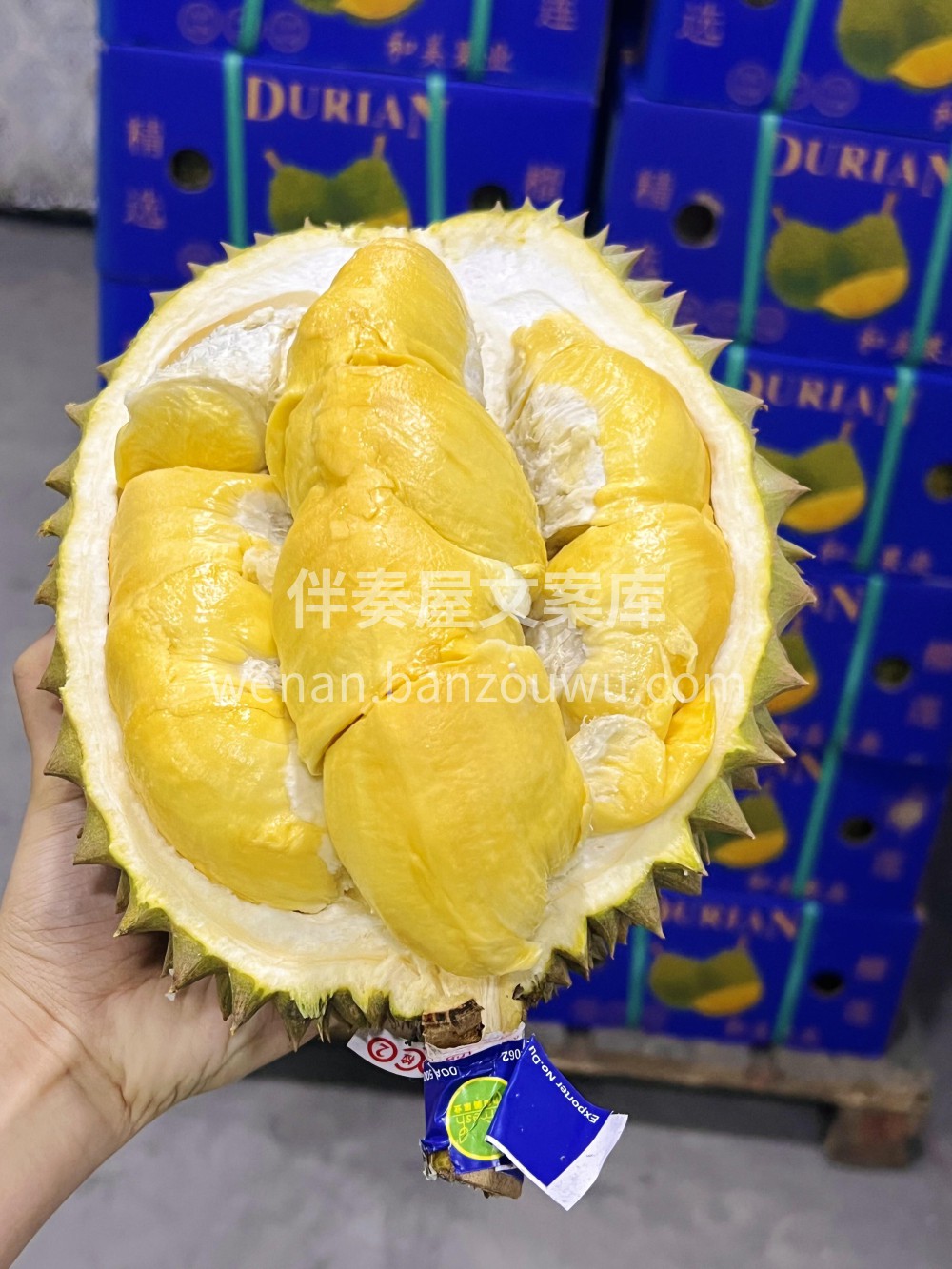 救命！挖到榴莲界的 “暗黑甜心”🍭家人们 配图2