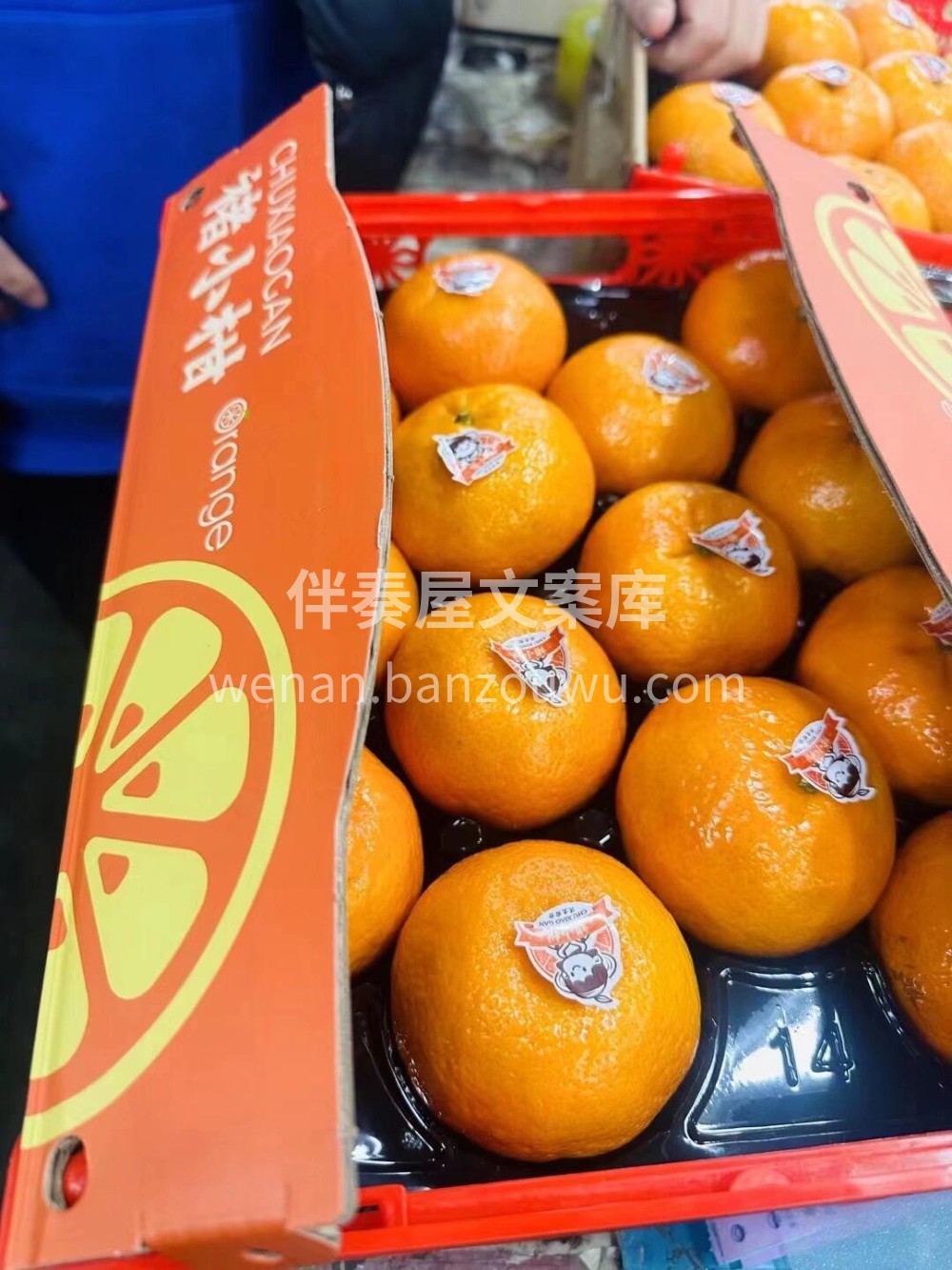 最好吃的柑橘🍊褚小柑 🍯纯甜口🍭这个季节 配图1