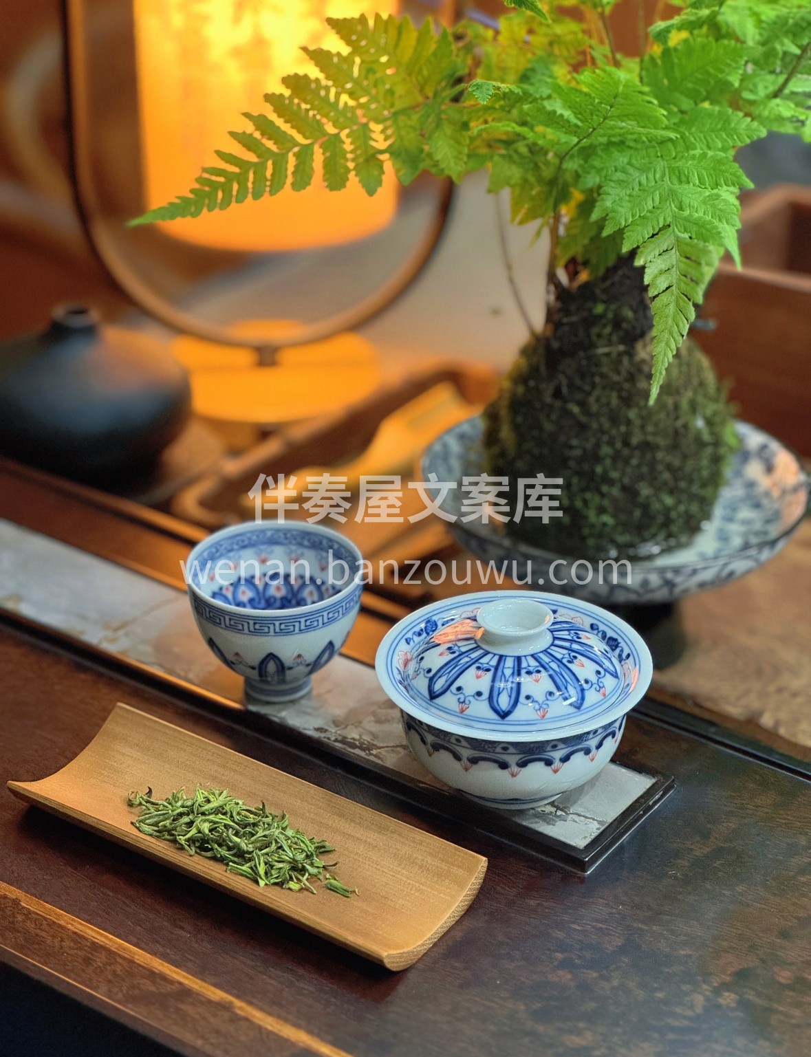 晨露未晞时采得安吉白茶，芽叶裹着春的清润 配图1