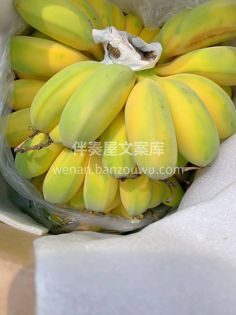 ⛳️网红苹果蕉 浓郁的香蕉味，扑鼻而来  配图2