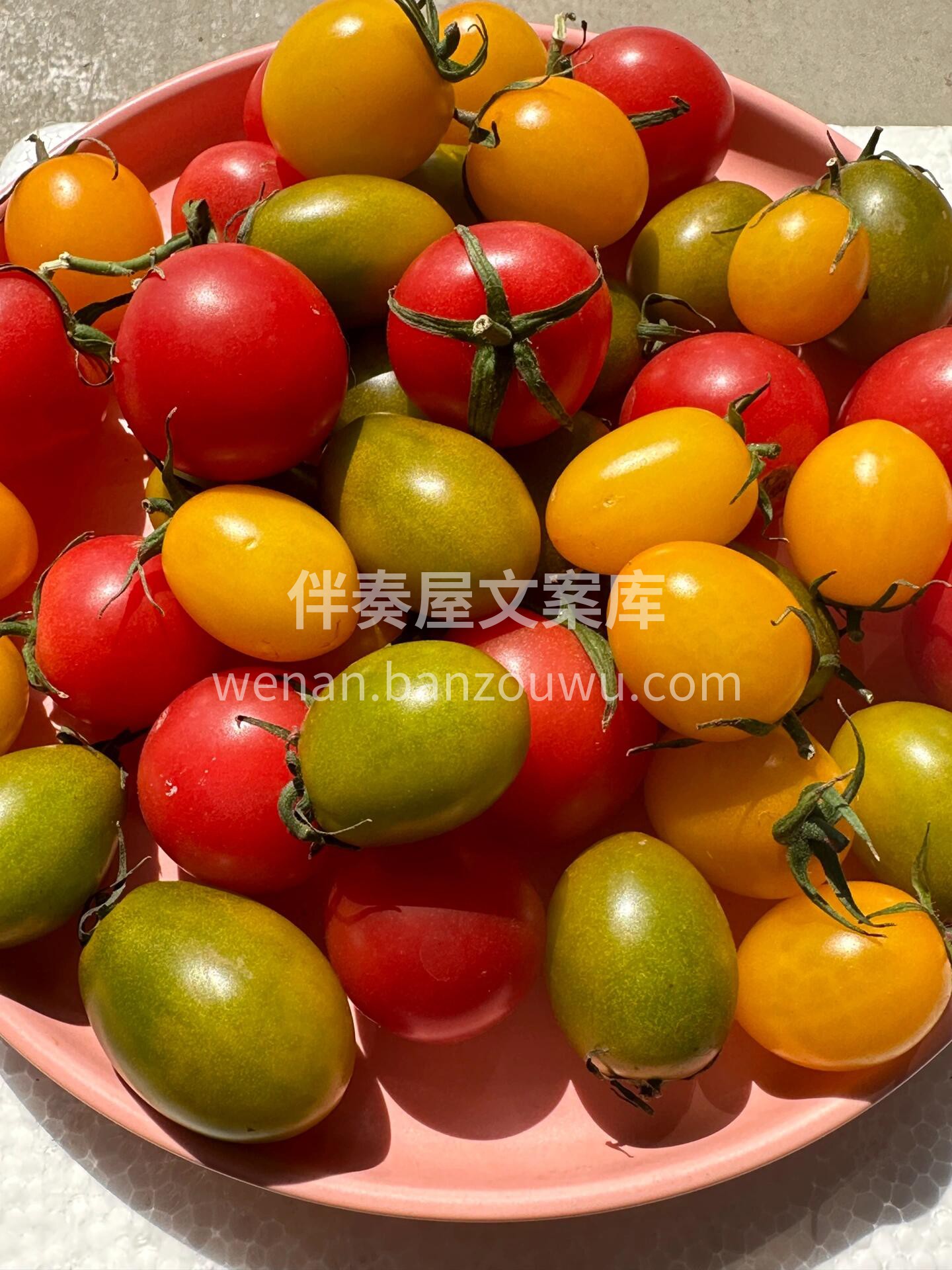 夏天的快乐开始啦❗️ 【🌈多彩小番茄】  配图3