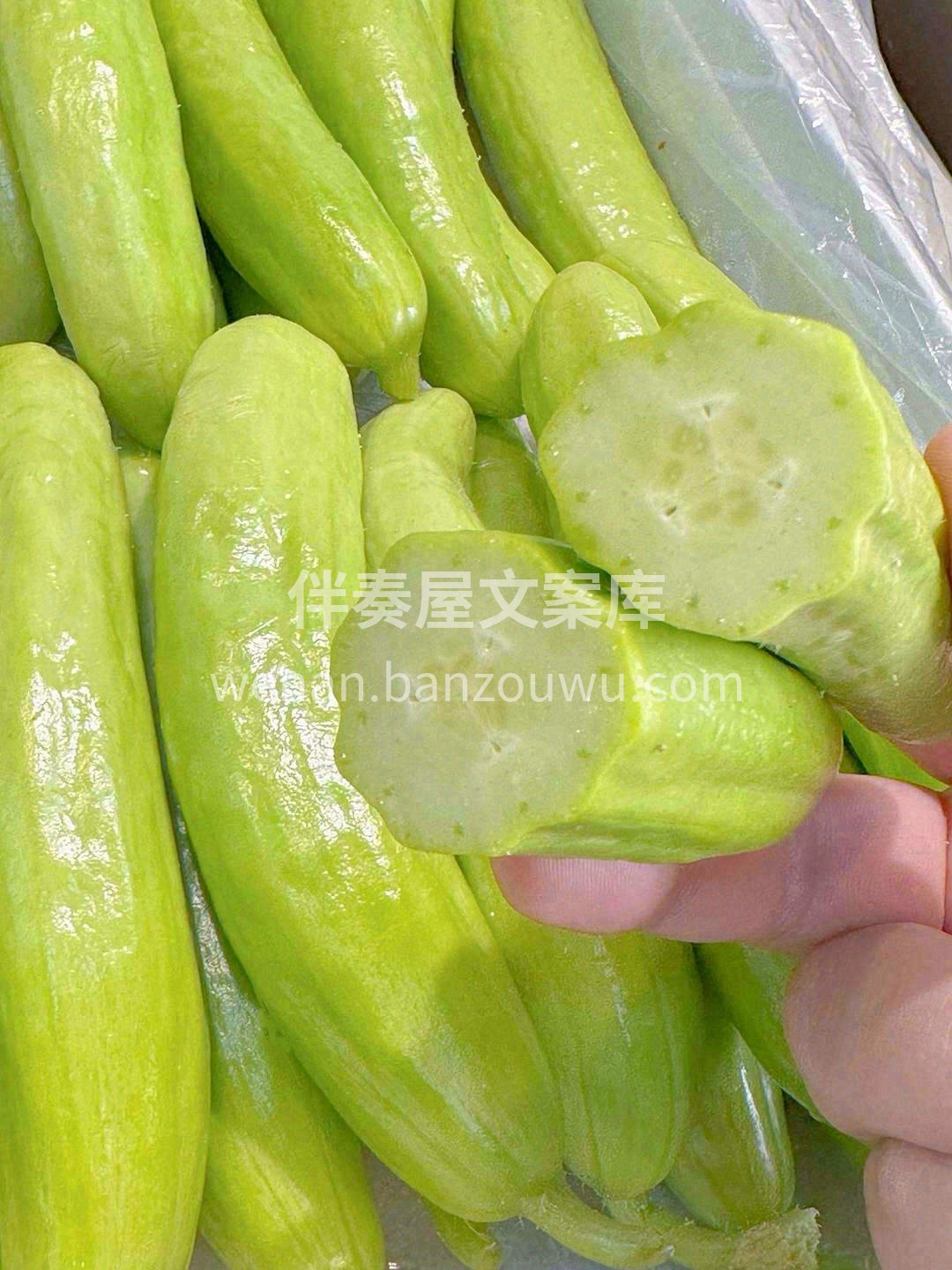 奶油小黄瓜🥒 通体如玉，鲜嫩碧绿，看起来 配图1