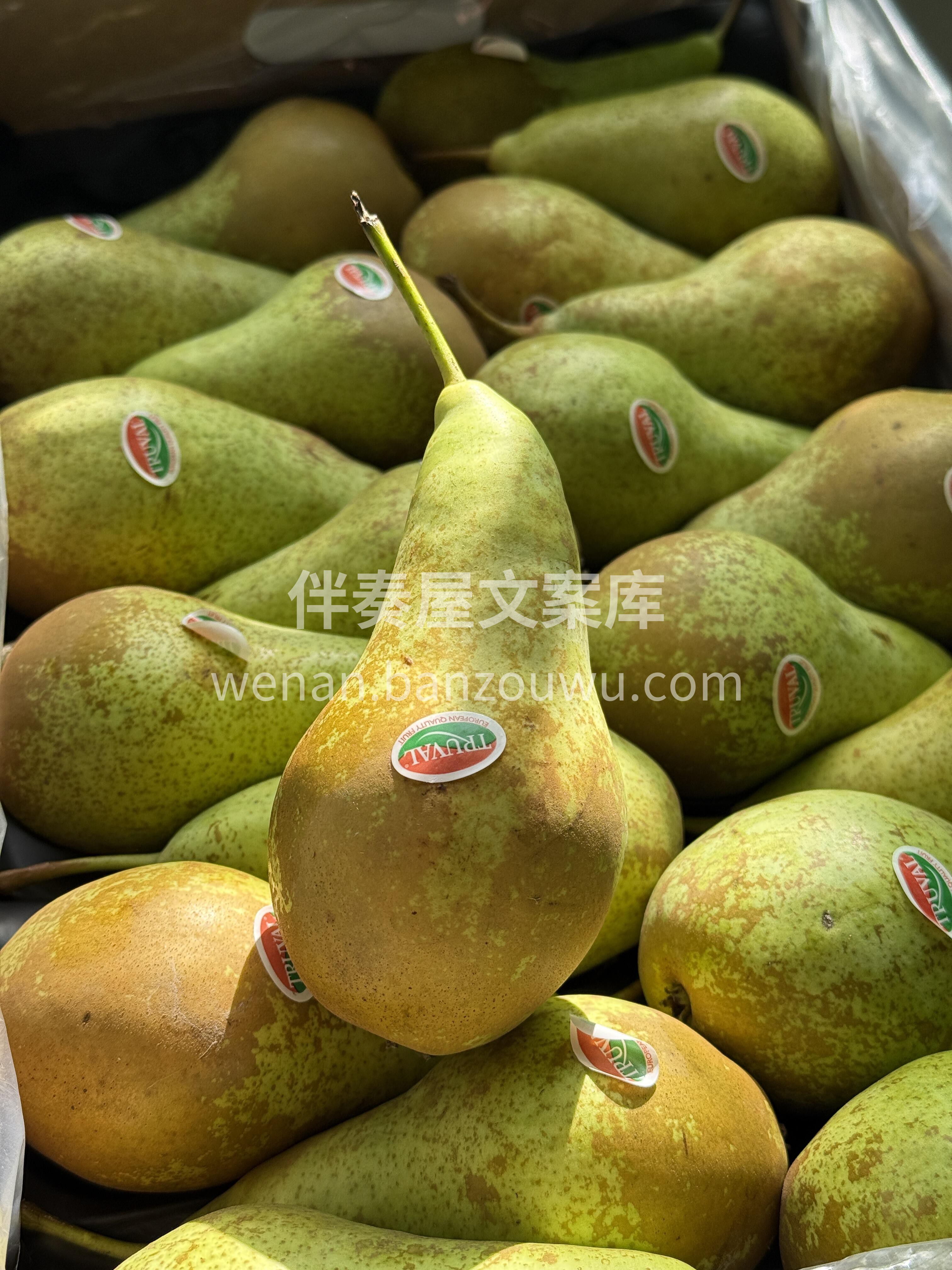 🍐比利时啤梨 入口即化，绵密滑润😋 每一 配图2