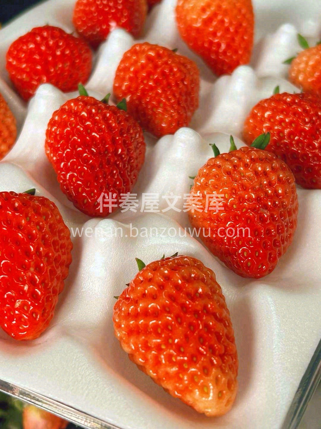 冬天的第一颗草莓🍓 希望这个冬天❄"莓病 配图3