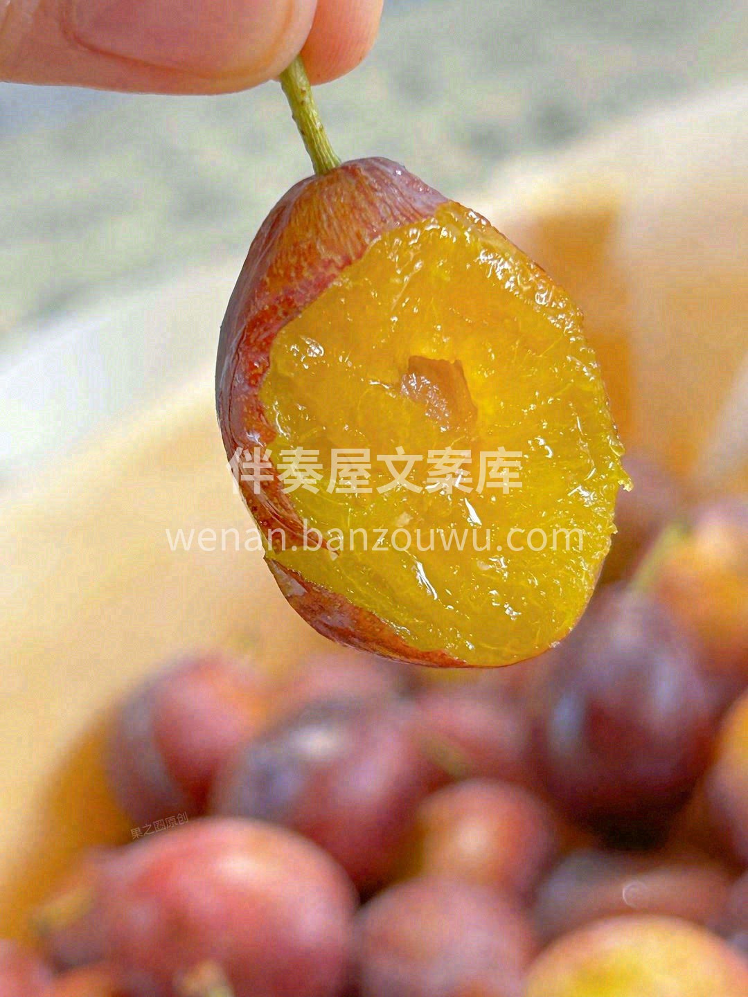 🌤️秋日的浪漫 从这一份西梅开始吧🎉🎉  配图2