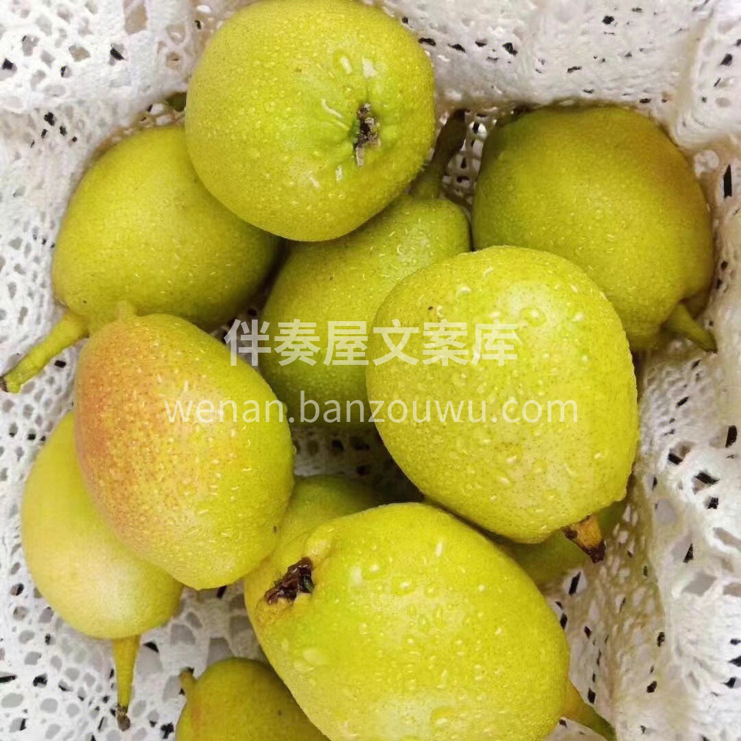 揣着库尔勒香梨🍐，走到哪，水分跟着到哪  配图3