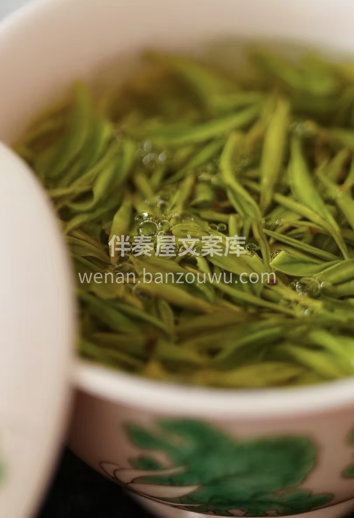 春日好茶，贵在头采银针🍵 不炒不揉，天然 配图1