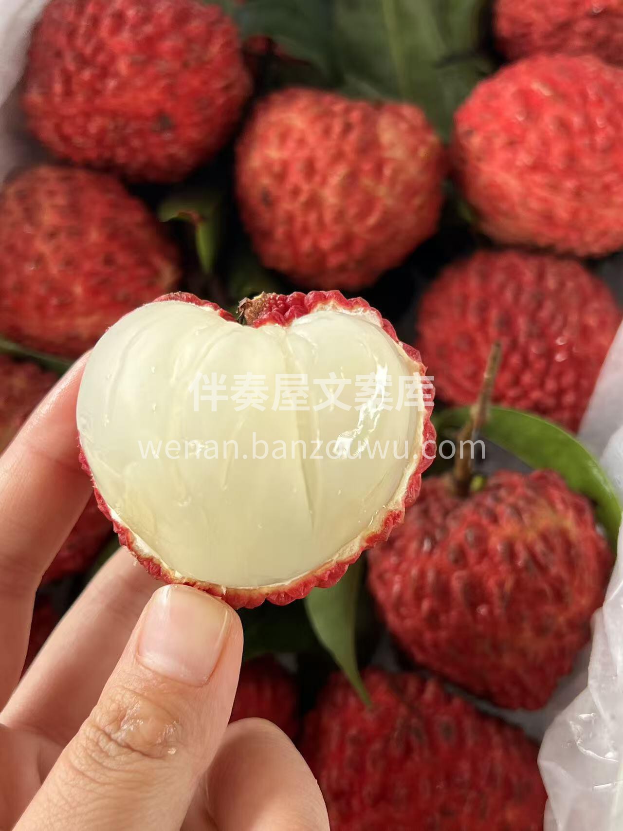 超级爱的荔枝王❤️ 🌷荔枝届的巨星😍荔枝 配图1