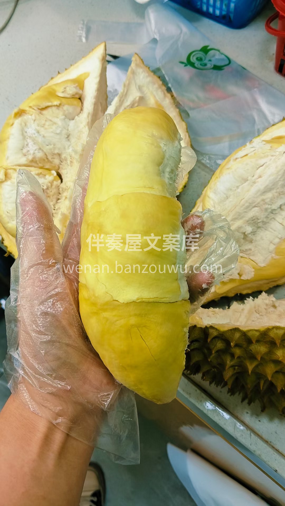 错过等一年，一起拥有8️⃣ 🔝甄选 树上 配图2
