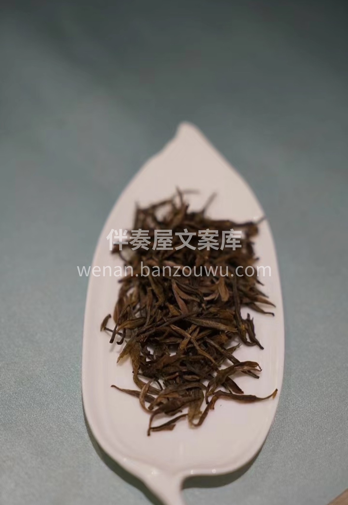 🌿 云雾润沩山，毛尖吐嫩香。一芽一叶凝清 配图1