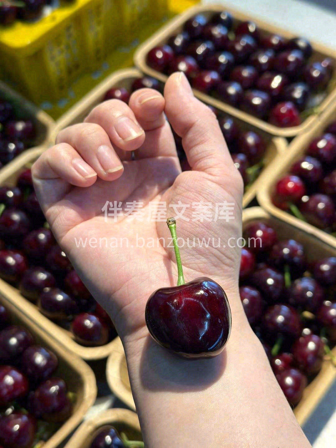 生活有点儿苦，自己加点儿甜🍒🍒 路上总有 配图1
