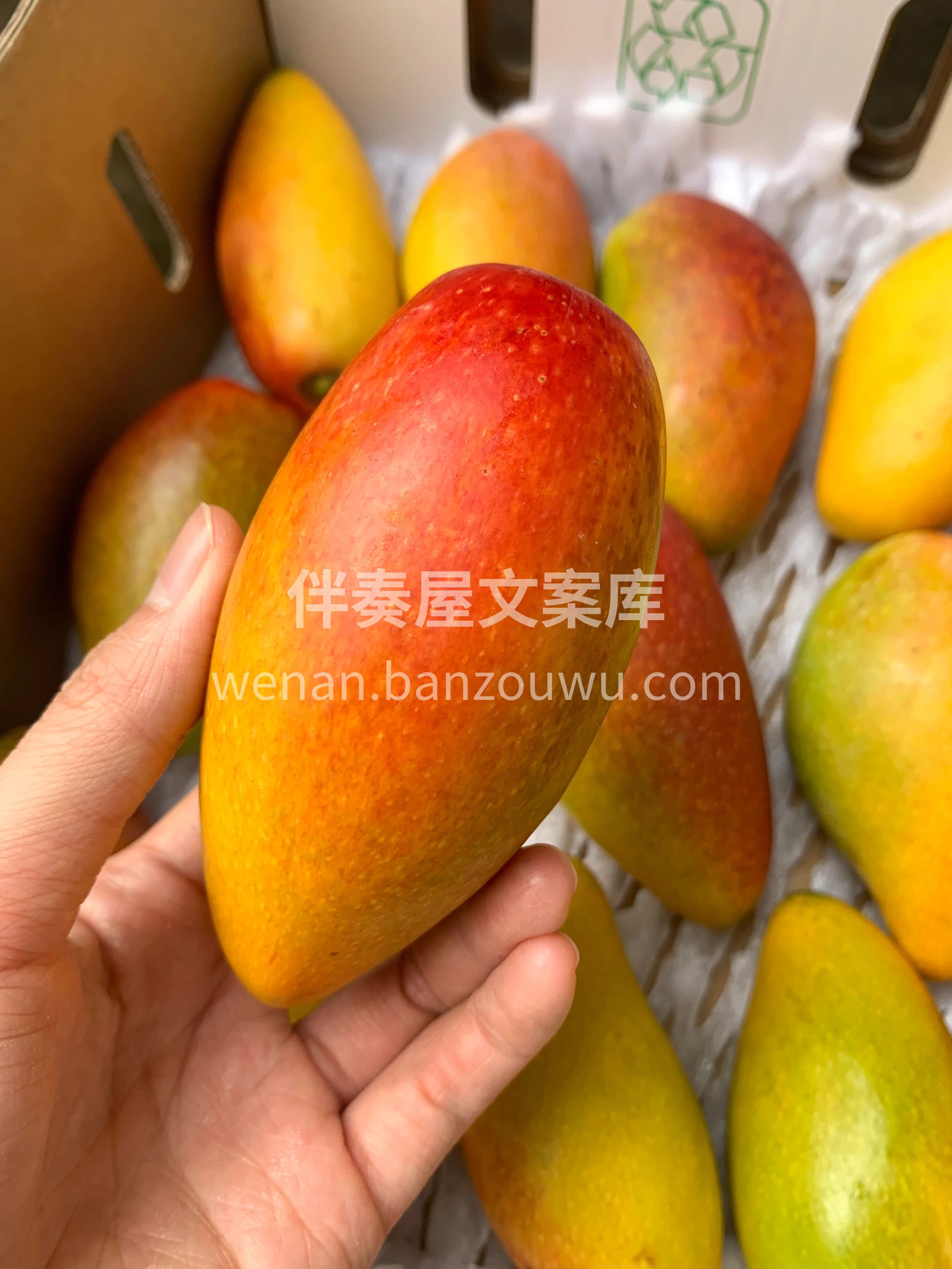 🥭贵妃芒就是emoji表情里的芒果本芒😍 配图1
