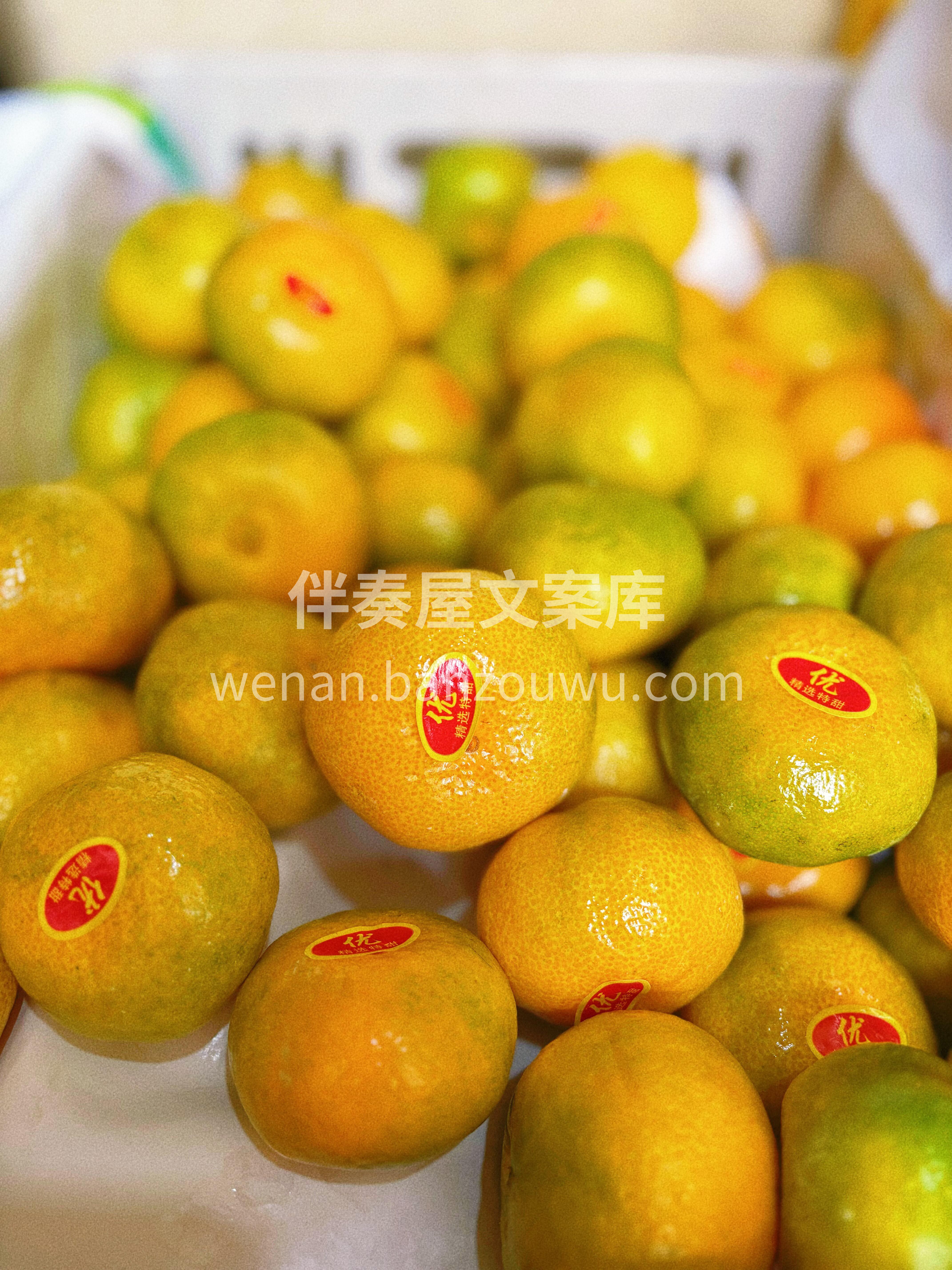 福建红土蜜橘🍊 秋后第一颗蜜橘，纯甜 皮 配图3