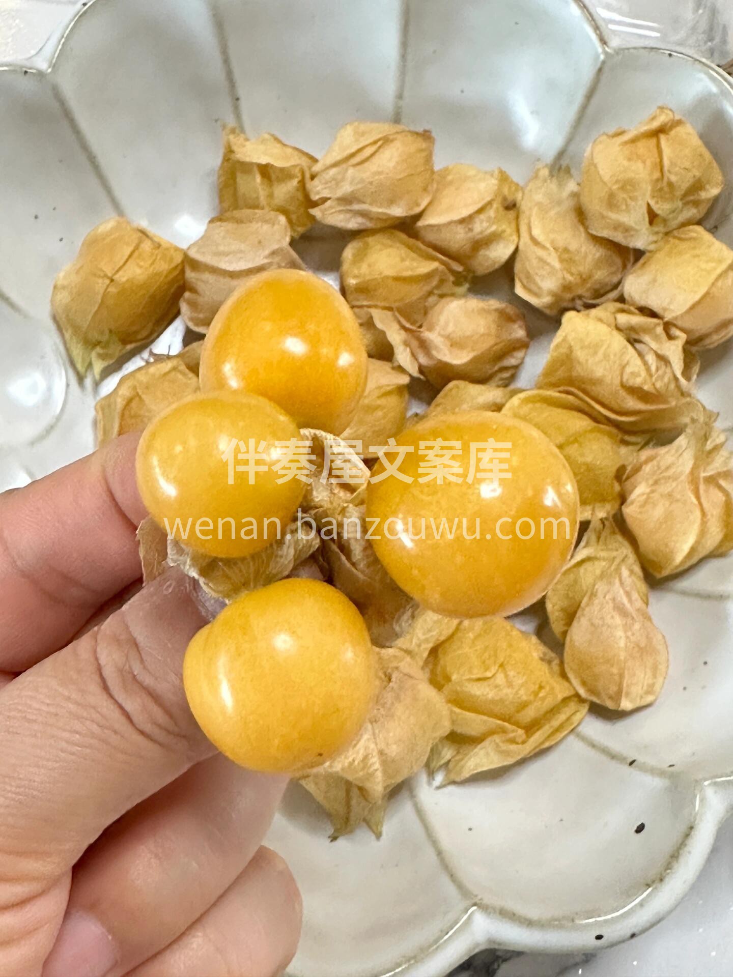 💛💛💛 【菇娘果】 宝宝👶们的最爱，补锌 配图1