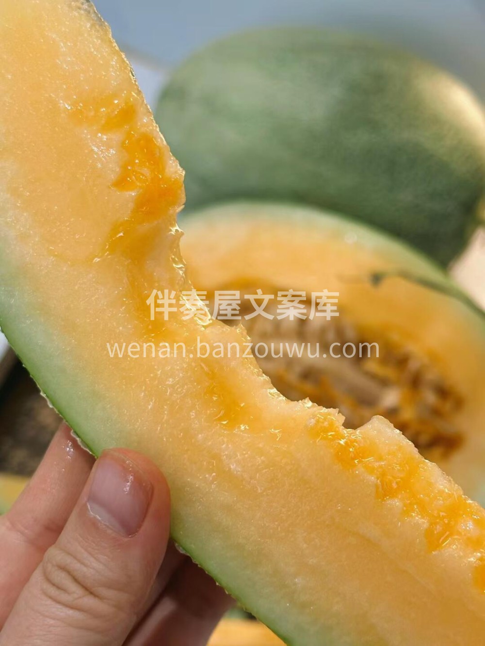 海南晓蜜哈密瓜当季上市🍈头茬果积累的甜度 配图1