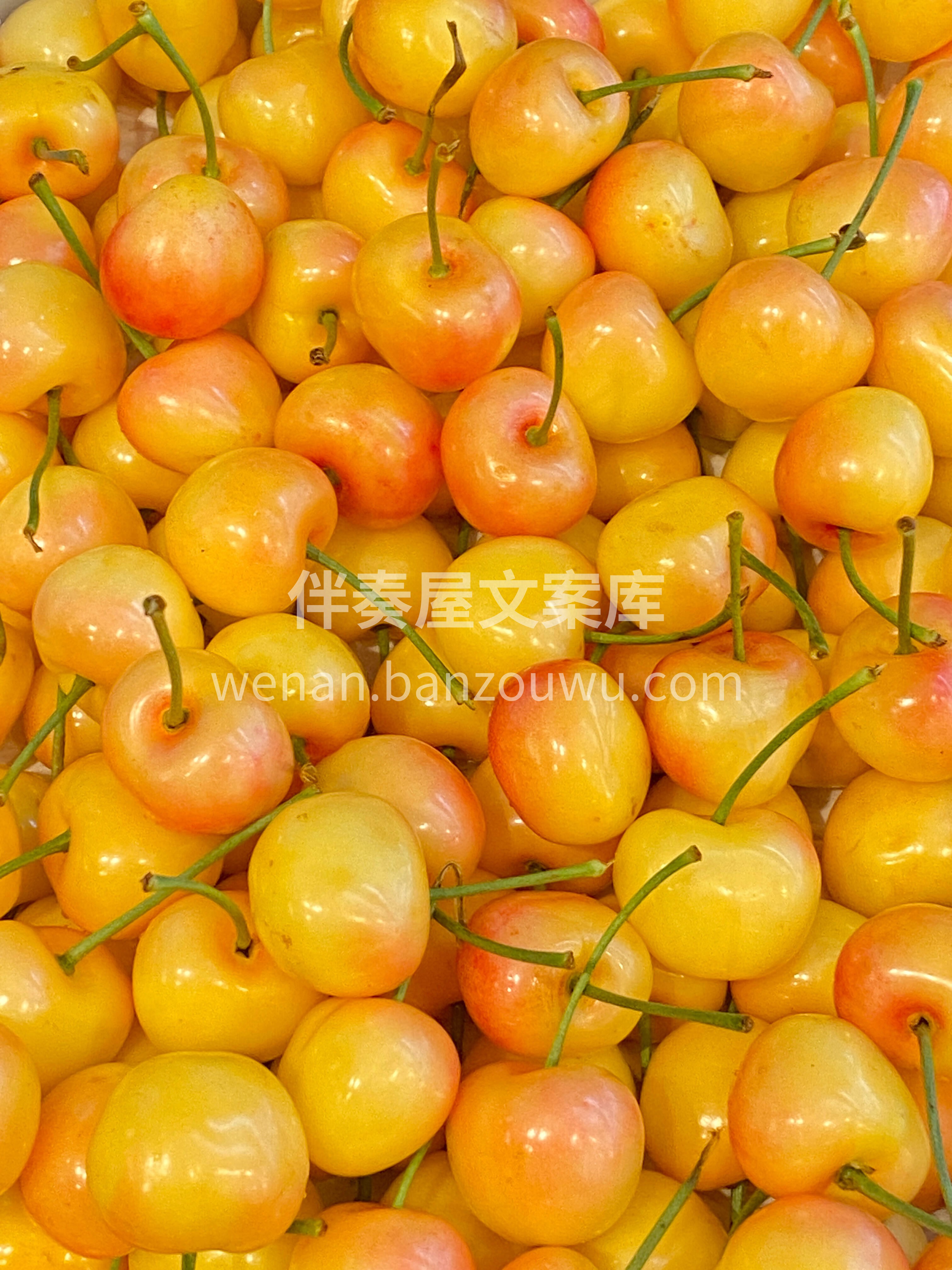 黄蜜樱桃🍒🍒，颗颗水晶😍 看一眼就心动💓 配图1