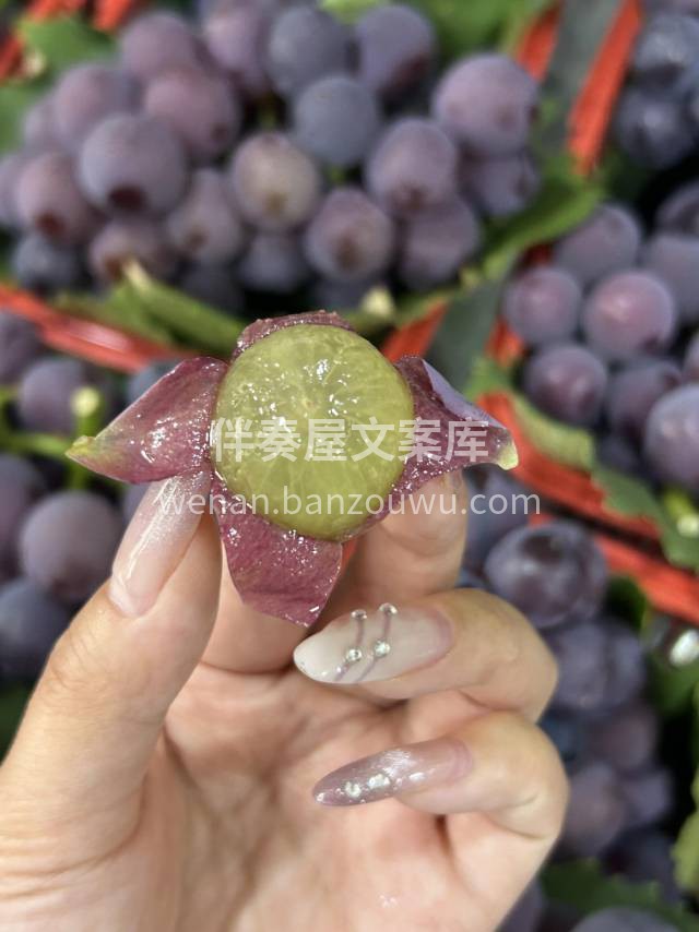 新鲜采摘巨峰葡萄🍇口感Q嫩，果肉水润多汁 配图1