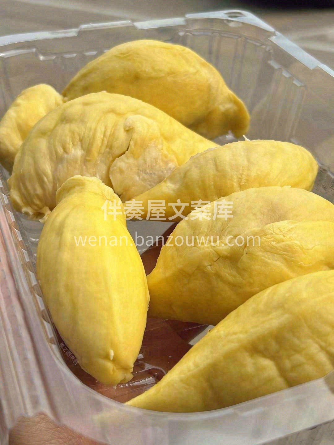 嫩黄丝滑的榴莲“巧克力”🍮，仿佛盛开的花 配图2