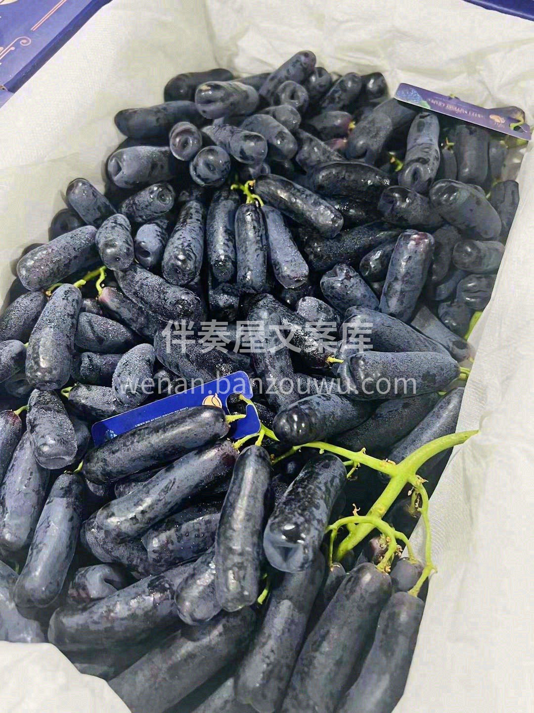 ✨从源头把控每一串手指青提的高品质🍇 在 配图2