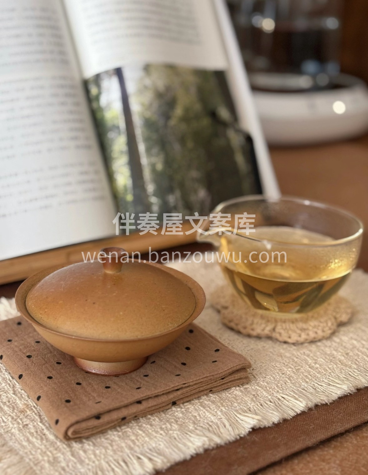 茶案新添漳平水仙，紧结的饼状藏着漳平云雾 配图3