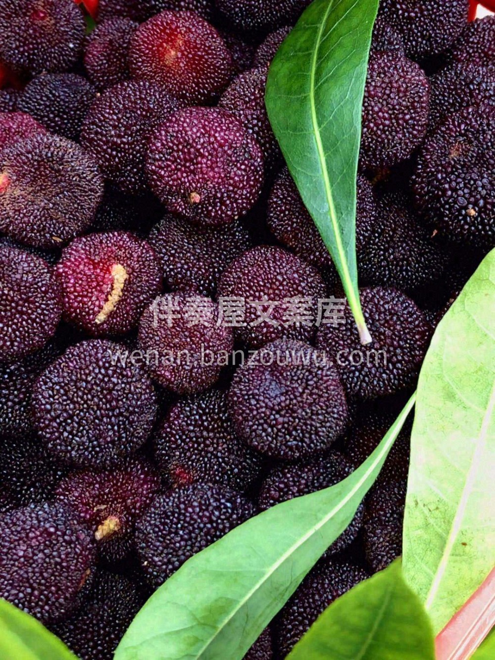 一颗好吃的杨梅?夏天的味道❤️​ 既有甜 配图3
