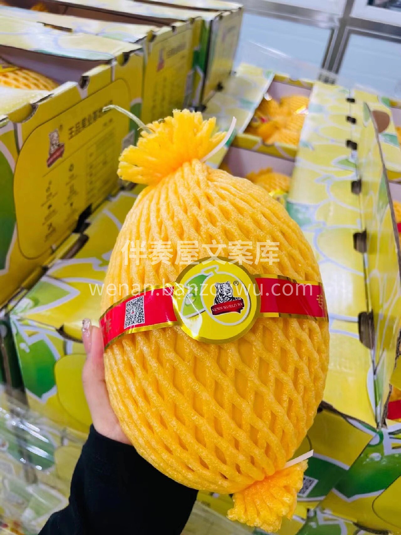 吃瓜群众就位🙋‍♀️🙋‍♀️🙋‍♀️王品 配图1