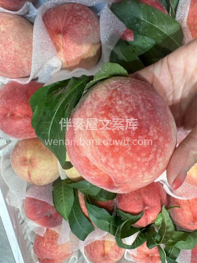🍊水果小铺营业啦！ 今日份甜蜜已上架🍍🥑 配图2