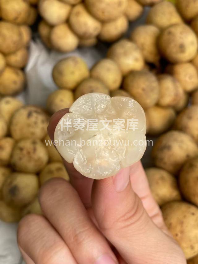 🥔 泰国龙宫果 🥔形似一颗一颗的小土豆  配图2