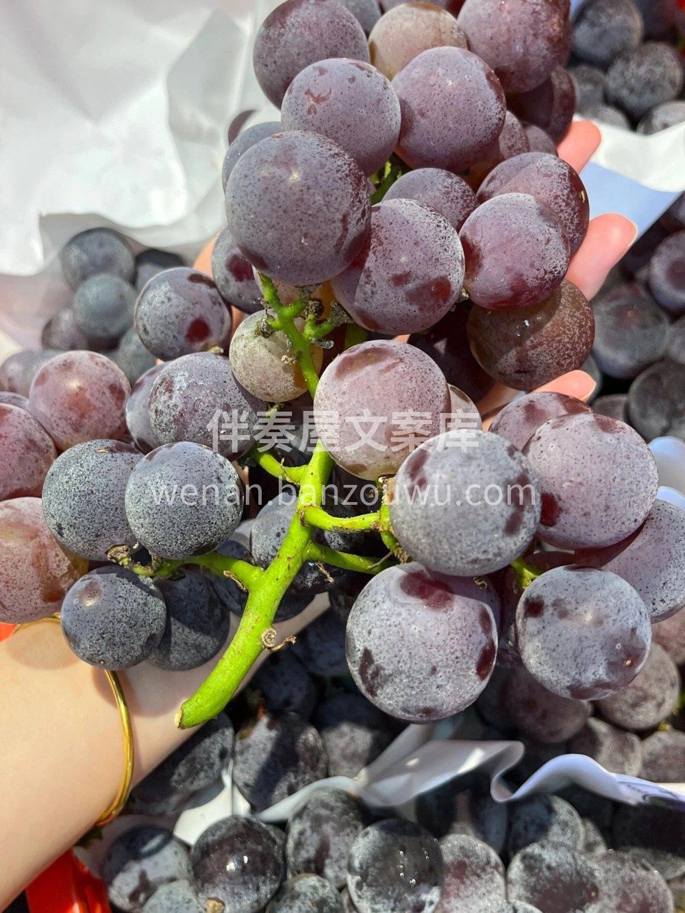 🍃🍃巨峰葡萄🍇 😘喜欢在细碎的光阴里，来 配图3