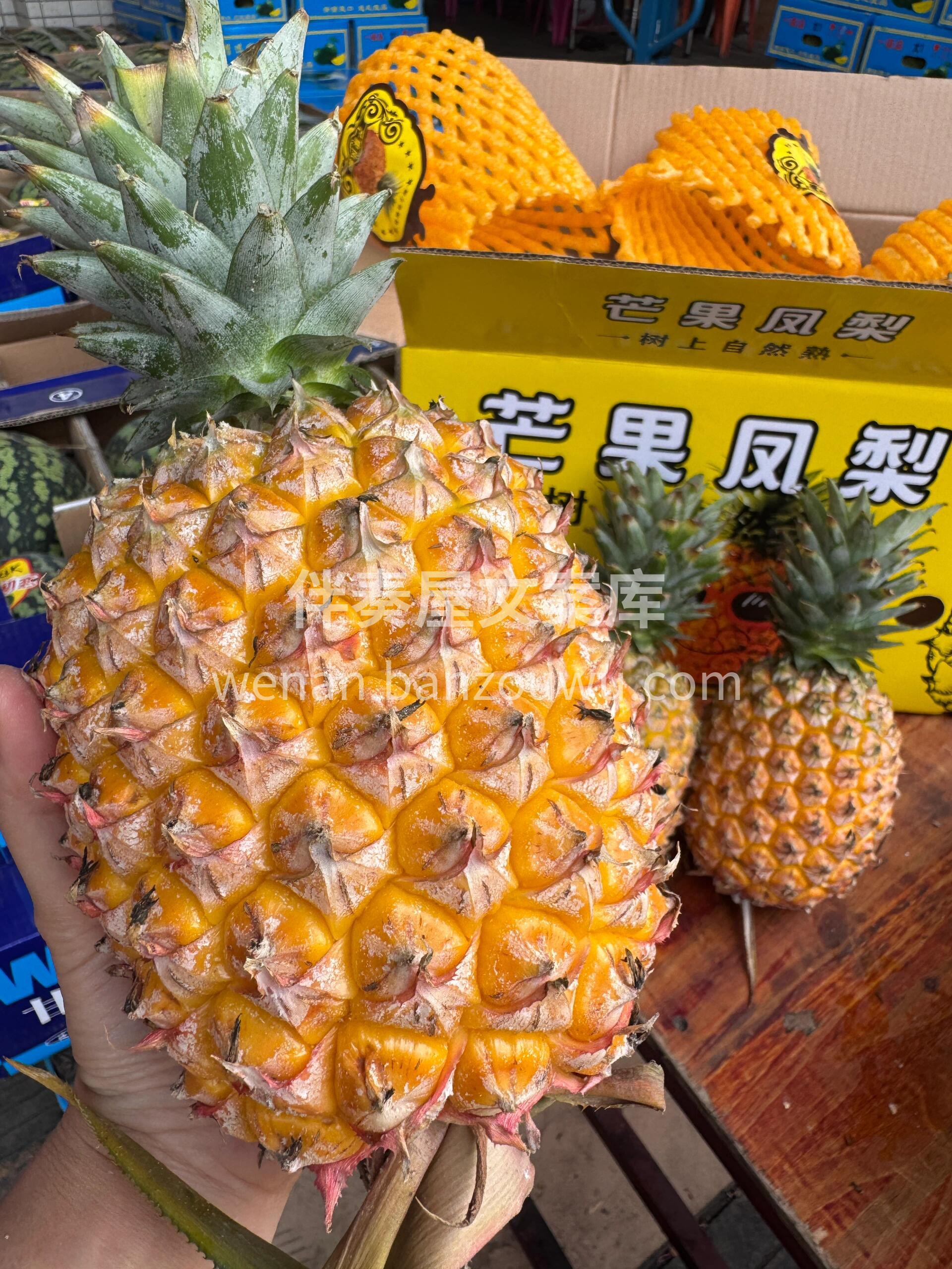 🍍 芒果凤梨甜到心坎！ 果肉金黄无纤维🍍 配图1