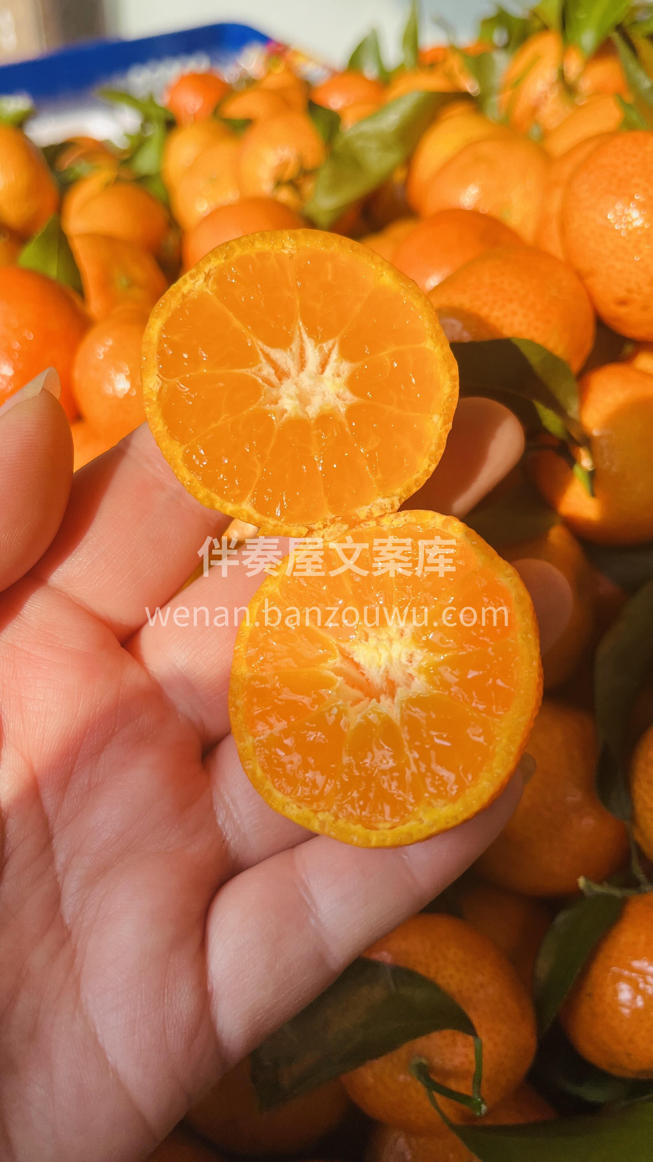 好吃的砂糖橘🍊来啦‼️‼️ 个个光滑饱满 配图1
