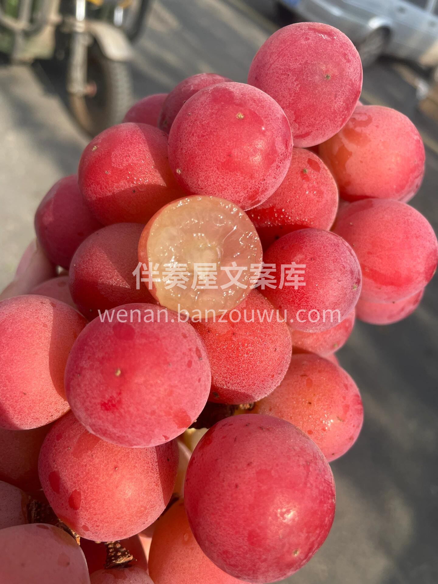 💚妮娜皇后👸葡萄届的巅峰美味～ 拥有酒香 配图3