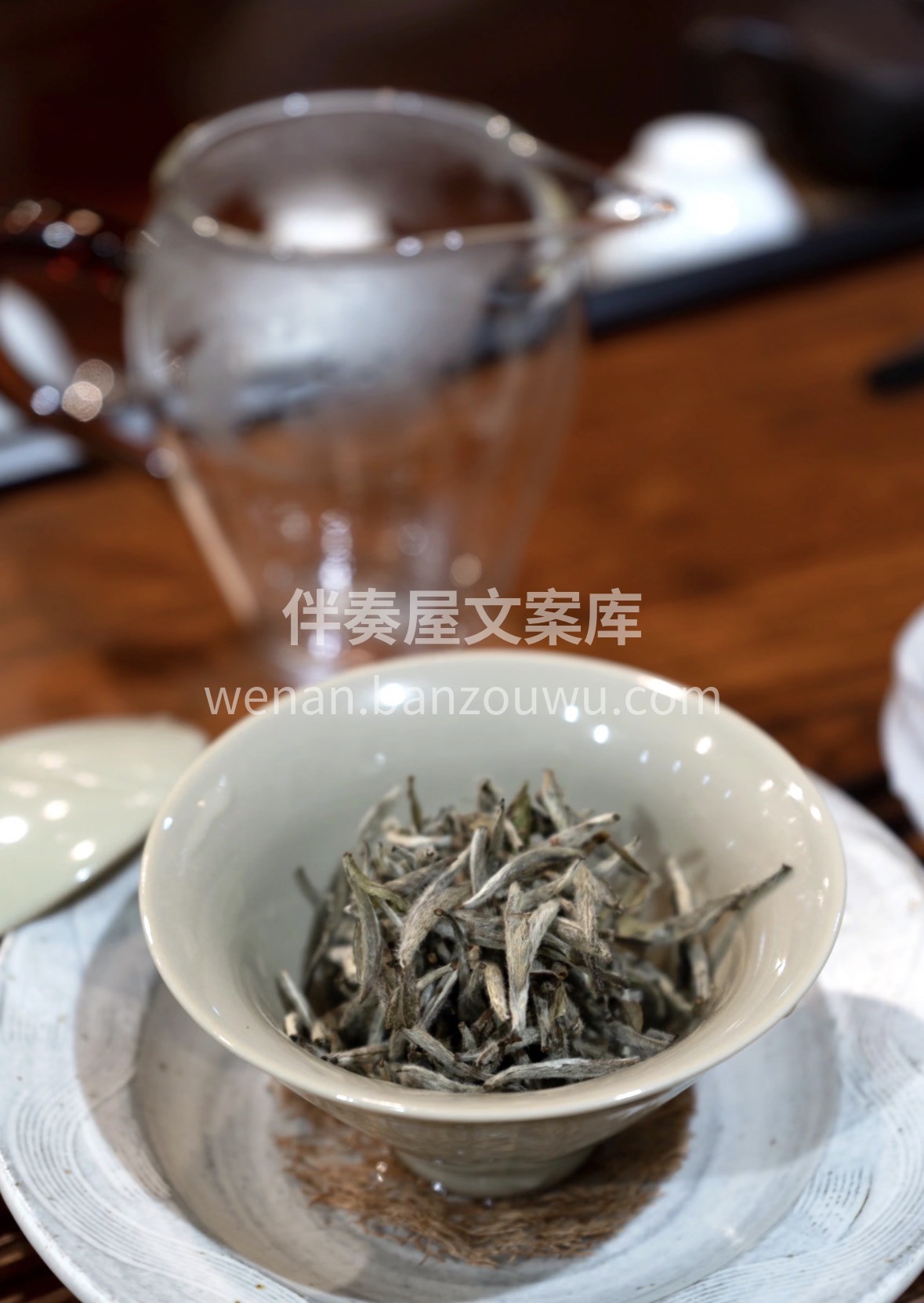 🎁新春年货选白毫银针｜ 芽头莹白如银雪， 配图1