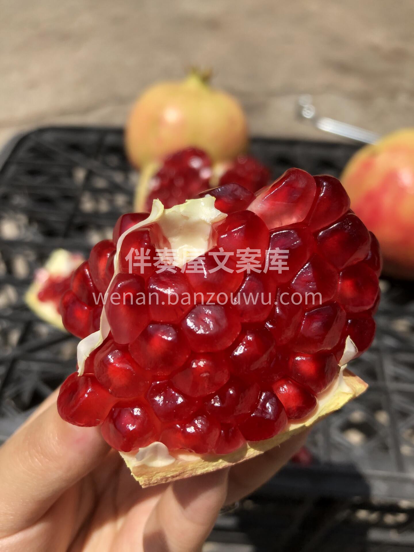 🥰抗氧化水果之「软籽石榴」🍃 自从入秋后 配图2