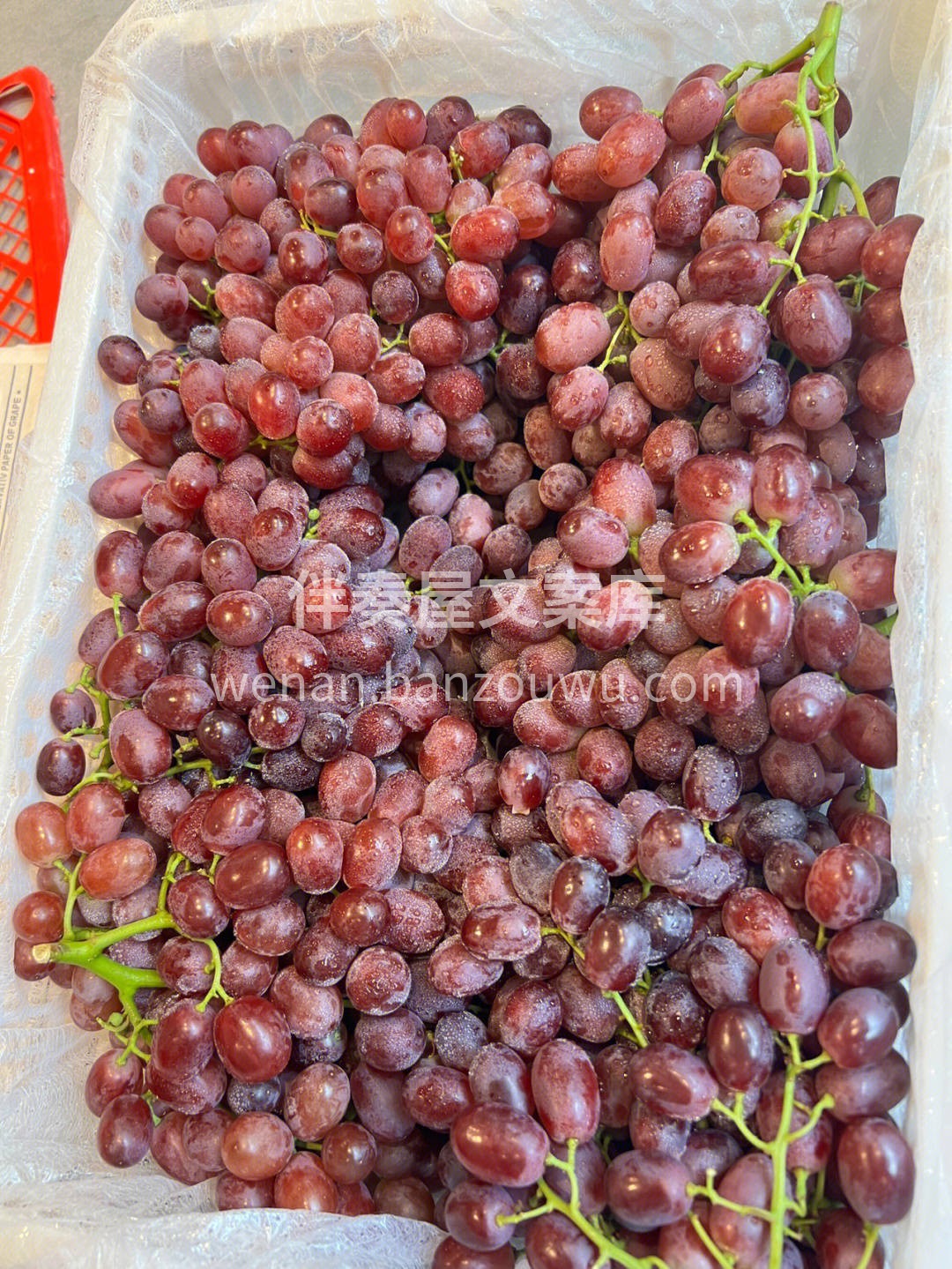 🍇颗颗晶莹饱满，犹如一颗颗红玛瑙💖 新鲜 配图3