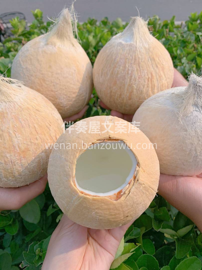 🌴秋天就需要冰冰凉的饮料续命！ 有什么比 配图1