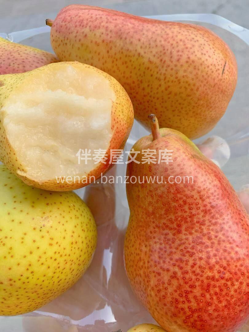 🍐啤梨——吃软不吃硬的“软妹子”💃 作为 配图1