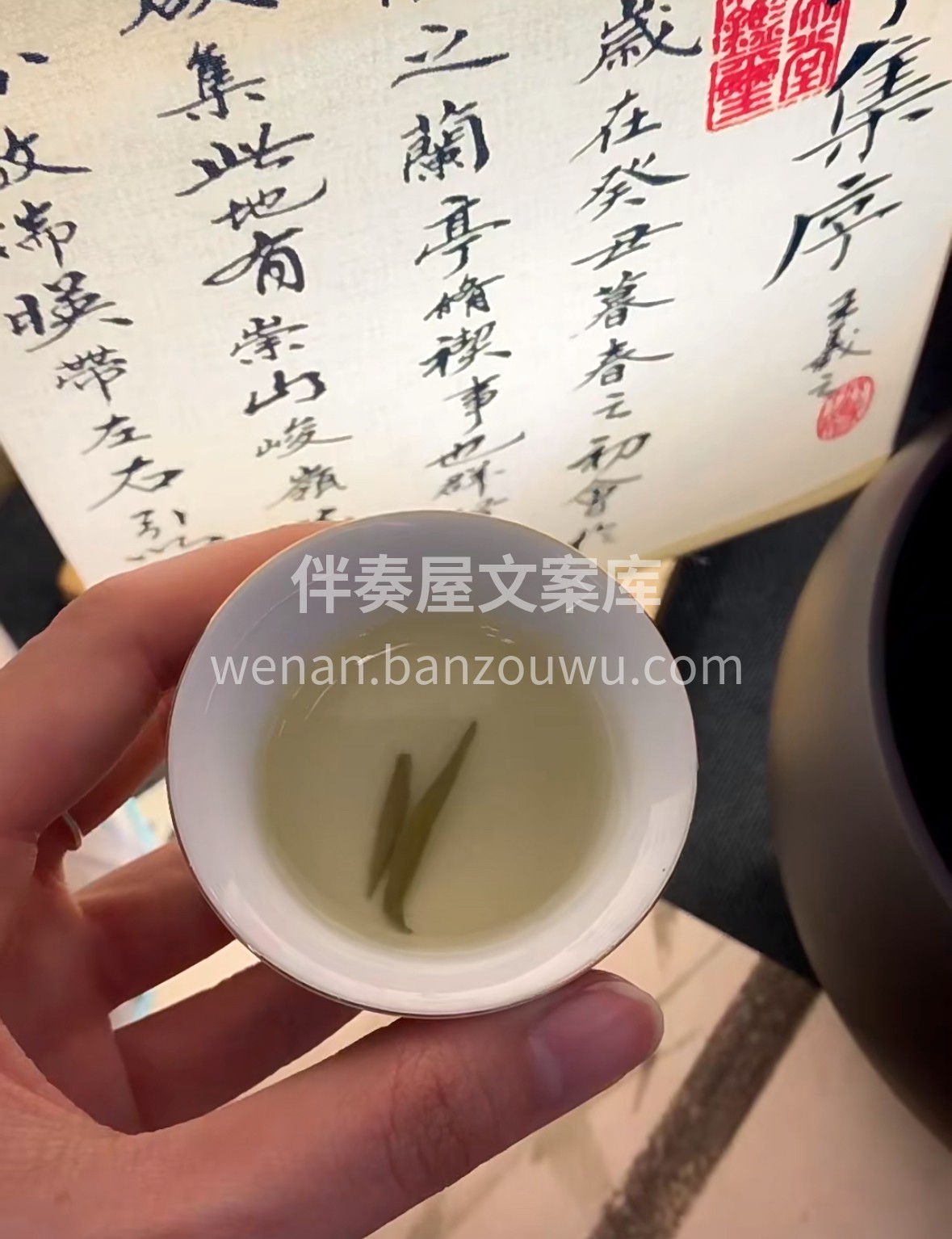 🌿 明前碧螺春，一芽一叶藏春山。汤色嫩绿 配图2