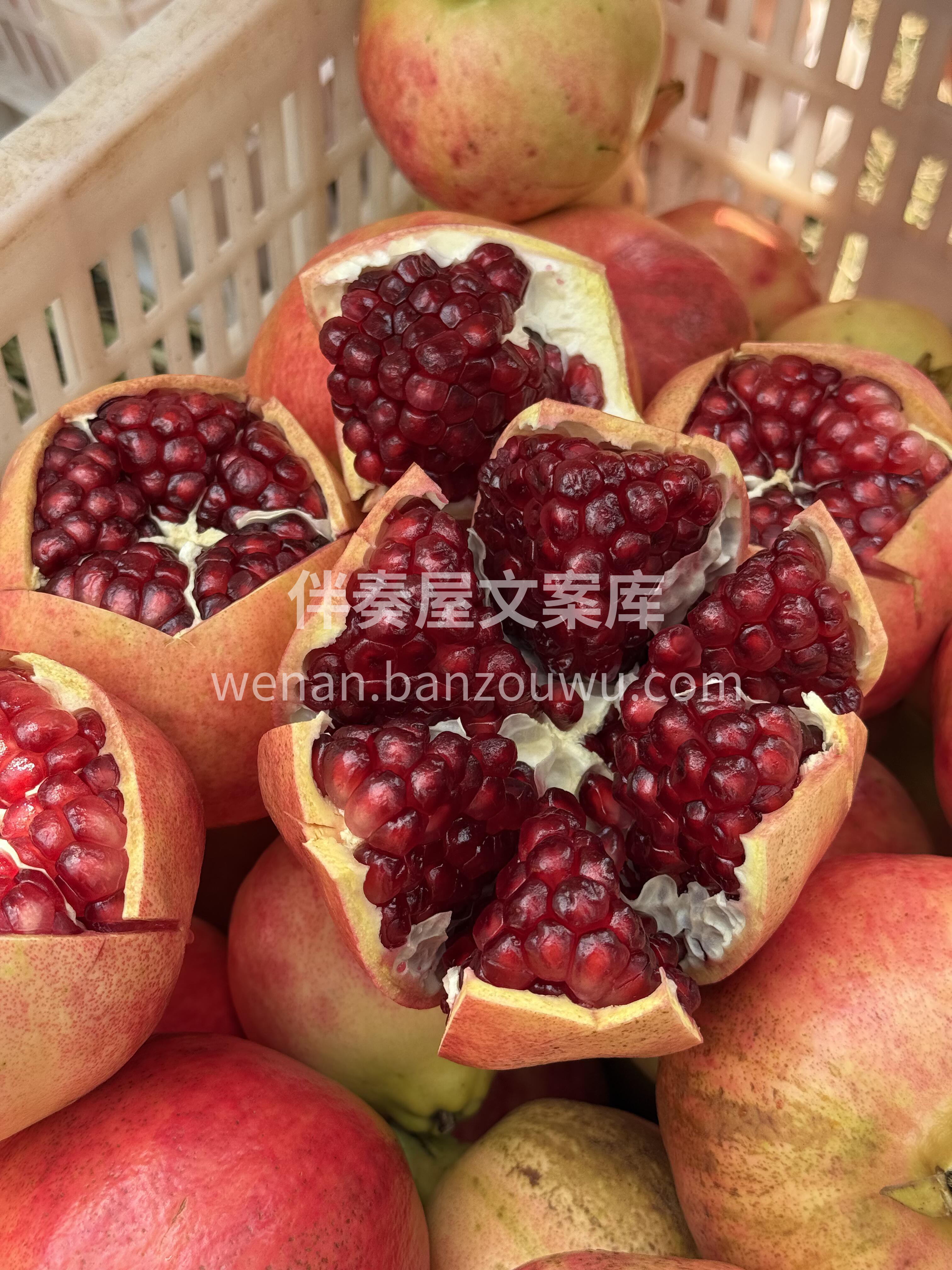 💥 今日爆款推荐 ～ 突尼斯软籽石榴❤️ 配图1