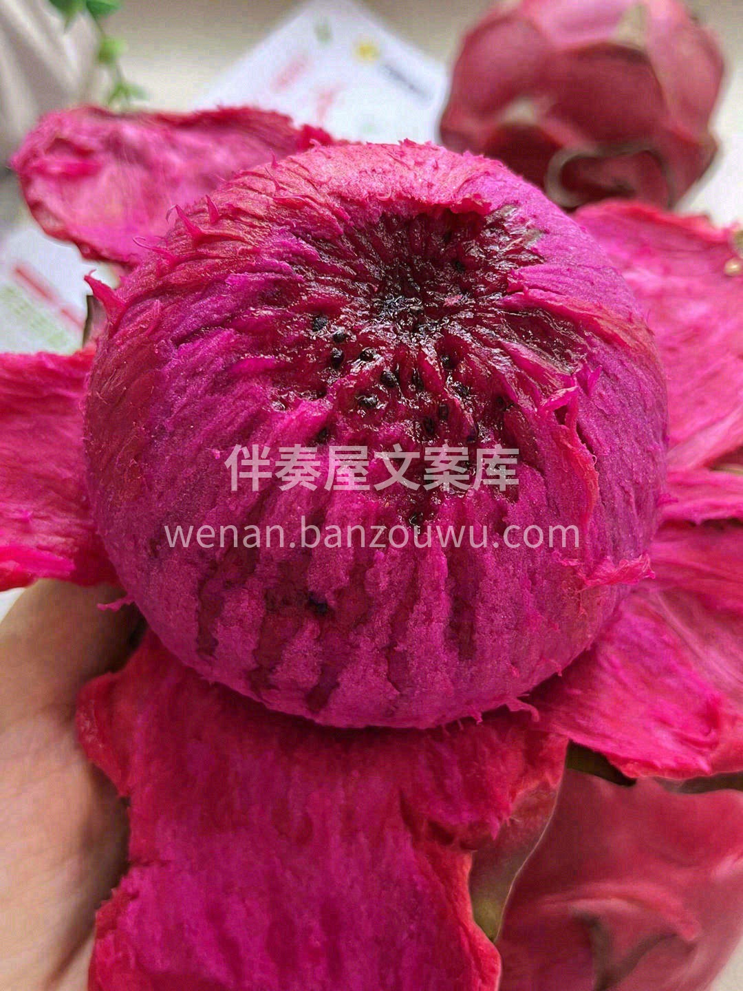 红心火龙果富含花青素🌼 “口服的护肤品” 配图1