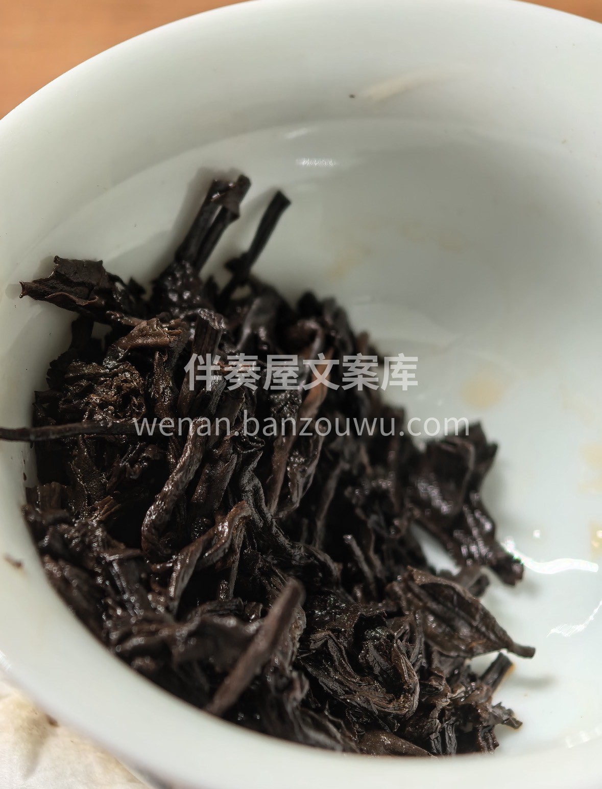 春日饮熟普，温润不寒，养出好状态🌿 古树 配图2