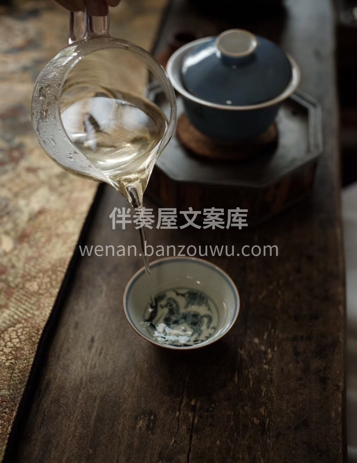 🍃一年一采·荒野黄芽 生于云雾深山，长于 配图3