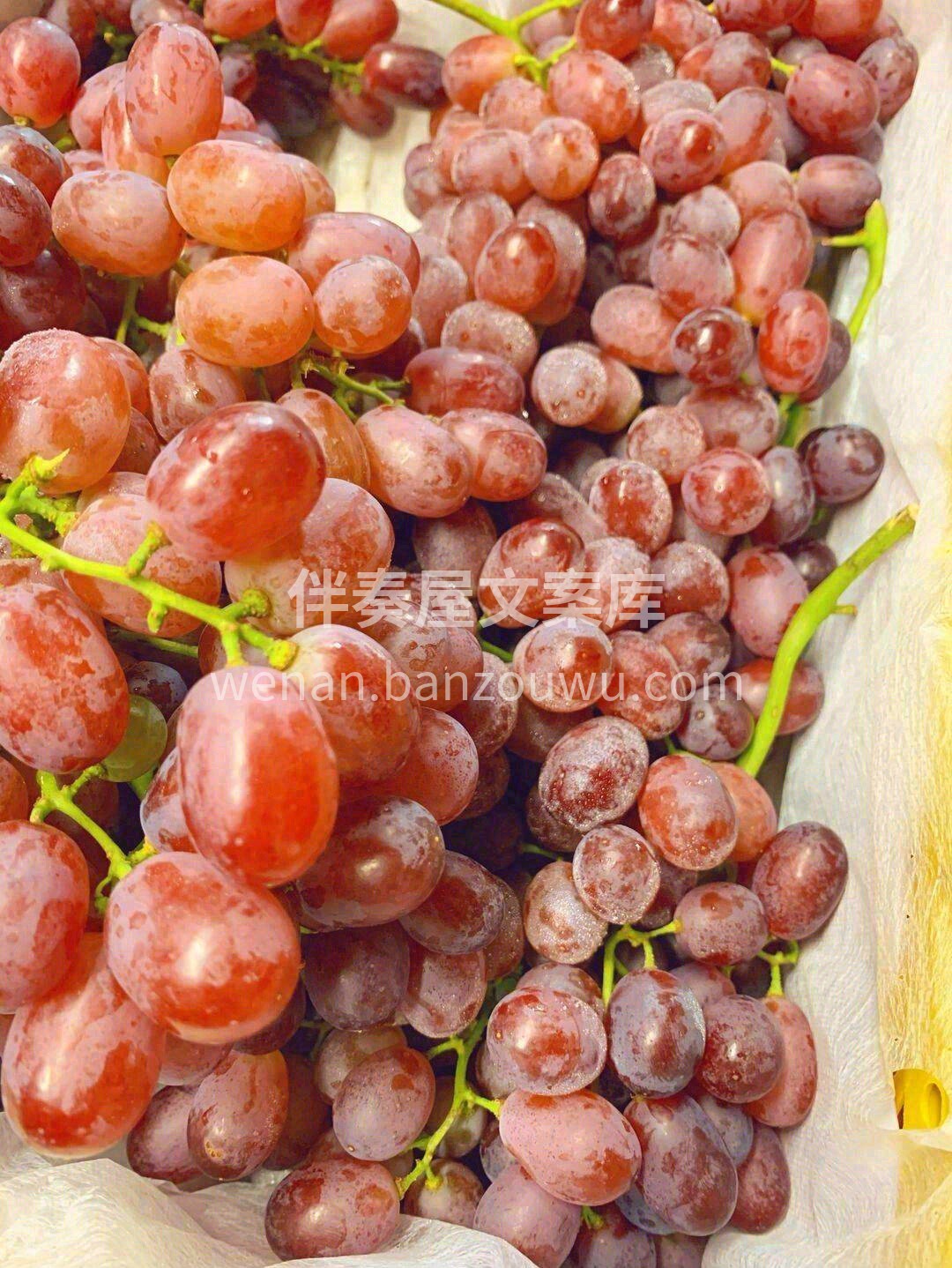 一颗颗红提饱满紧实🍇皮薄如纸，果肉晶莹剔 配图1