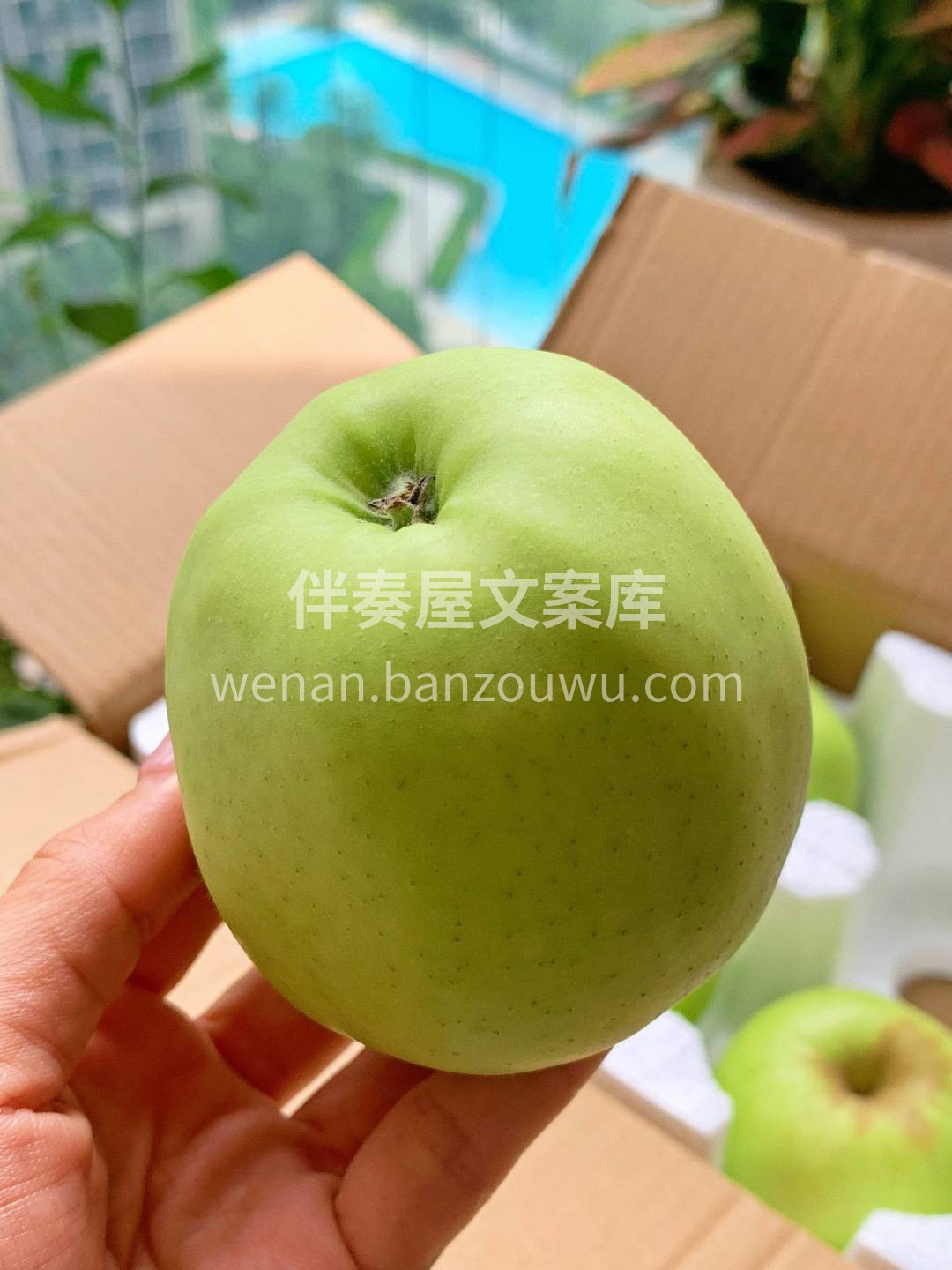 🍏【澳洲青苹爽脆来袭啦‼️】 果肉紧实多 配图3