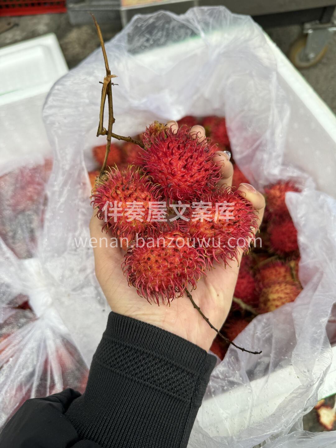 进口红毛丹越南🇻🇳进口 红毛丹来咯！ 口 配图1