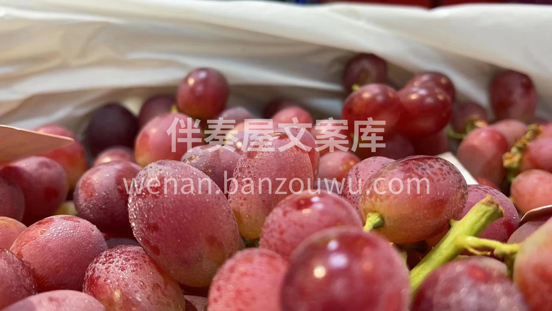 断货已久的无籽红提到货啦✌️ 颗颗饱满， 配图3