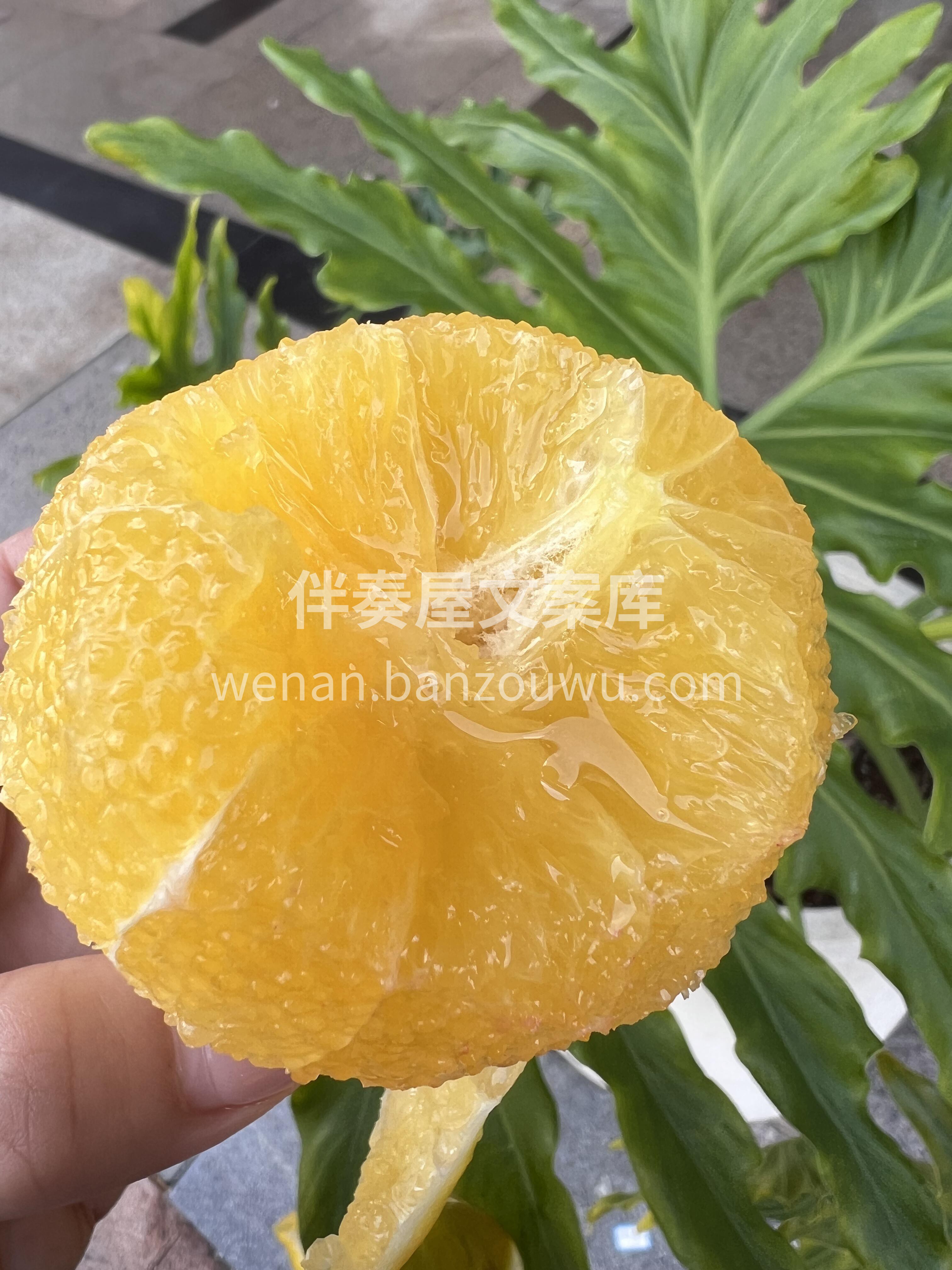 人生总有起落🌊，精神终可传承🙌——【励志 配图1