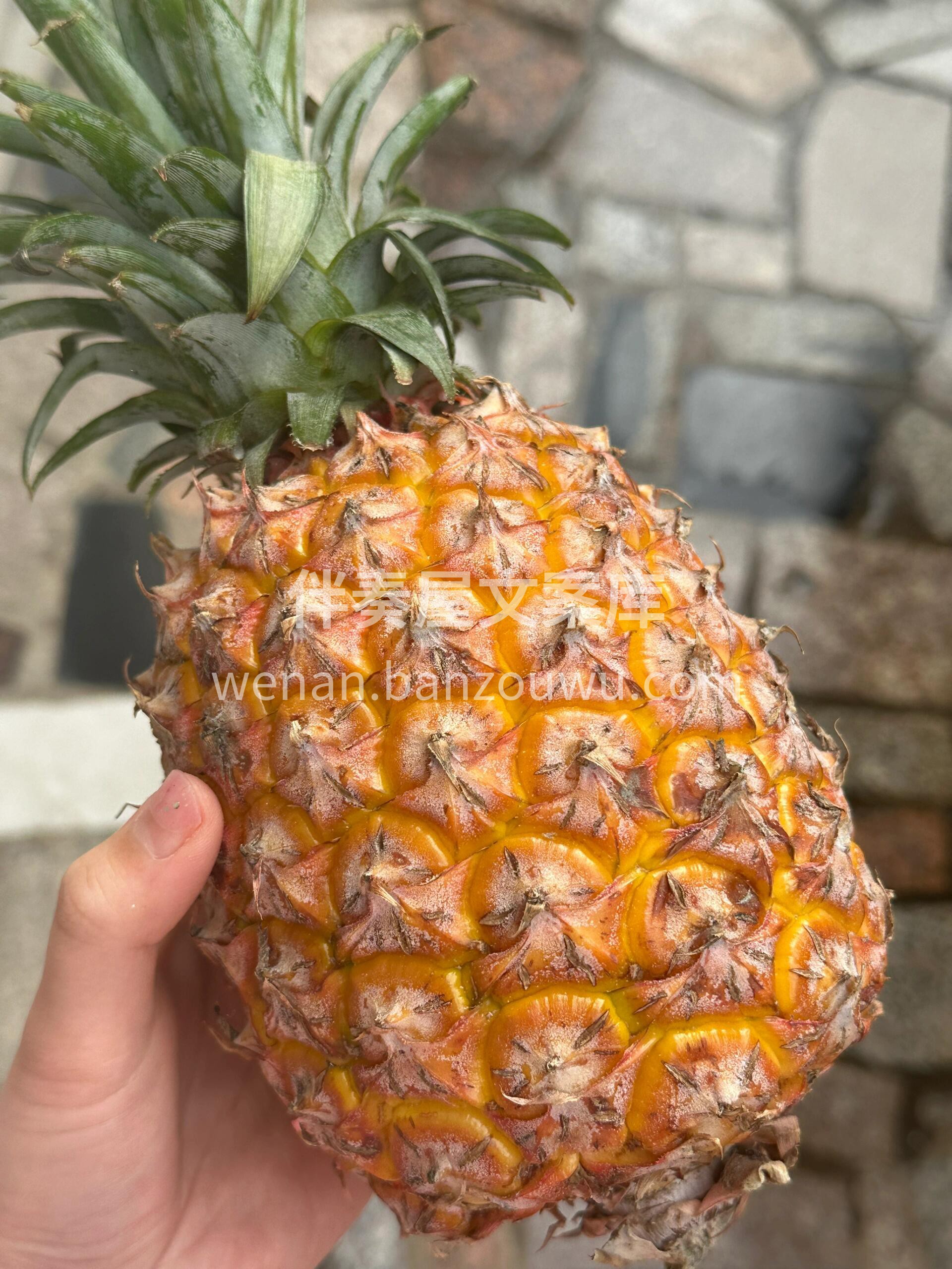 🍍完美的酸甜比8:2，每一块都饱含着汁水 配图1