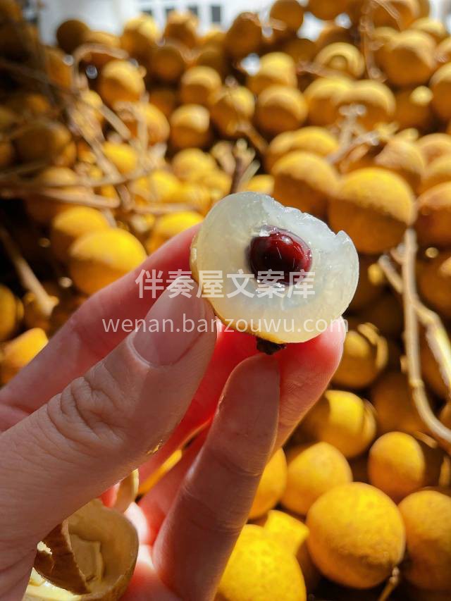 美味推荐👉新鲜龙眼😍 🌕朴实的金黄“外衣 配图1