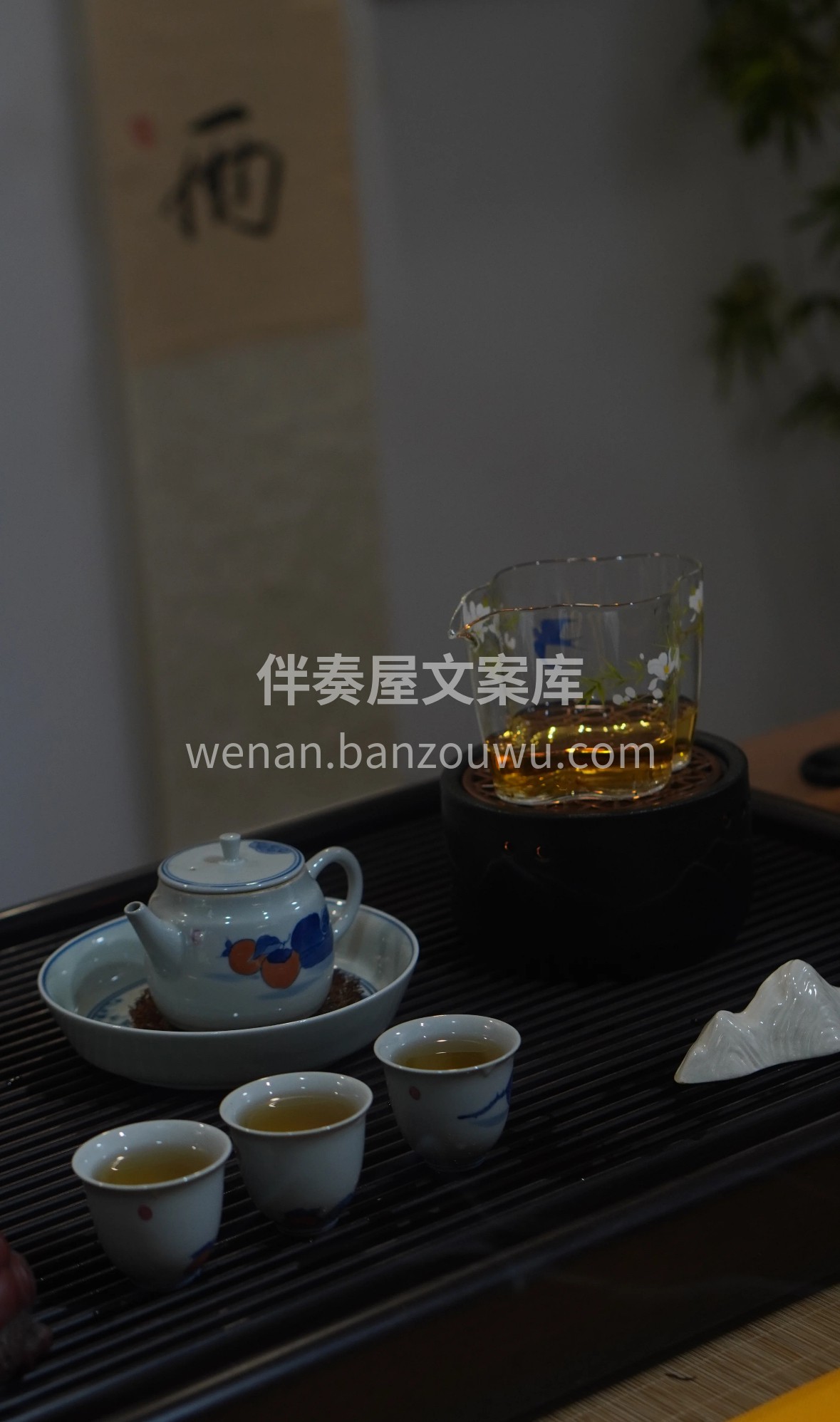 🌿 云南古树白茶，藏着云端山野的灵气。慢 配图3